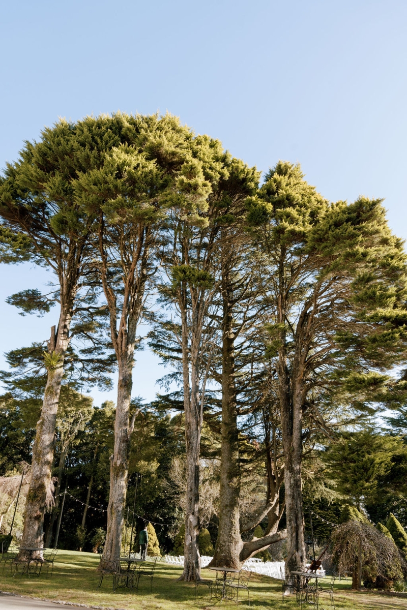 AdamandPhillipPortraitsSneakPeek-48