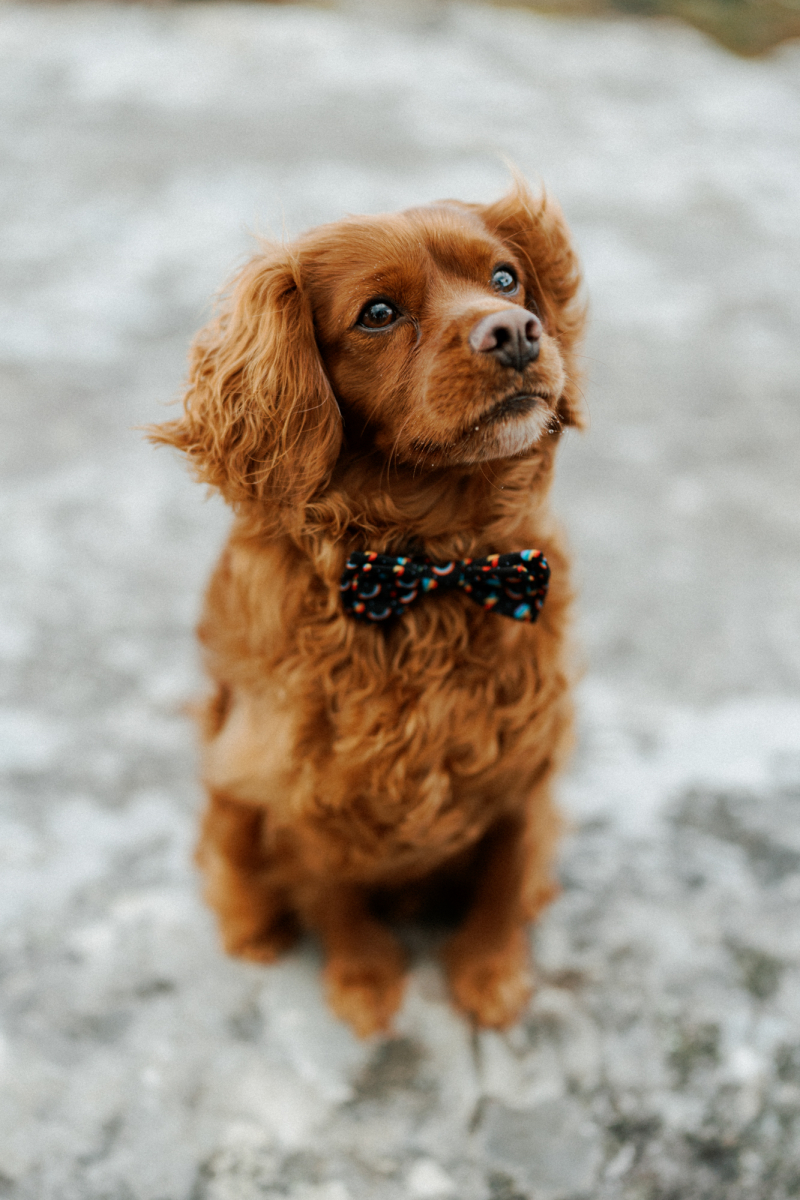 Ali and Matt Portraits Small-31