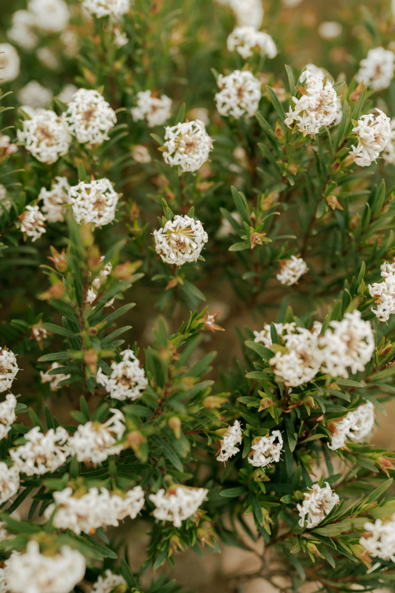 Ali and Matt Portraits Small-44