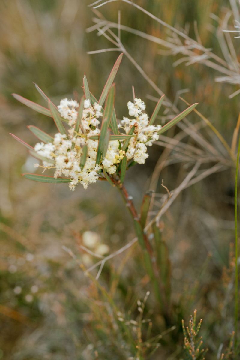 Ali and Matt Portraits Small-48