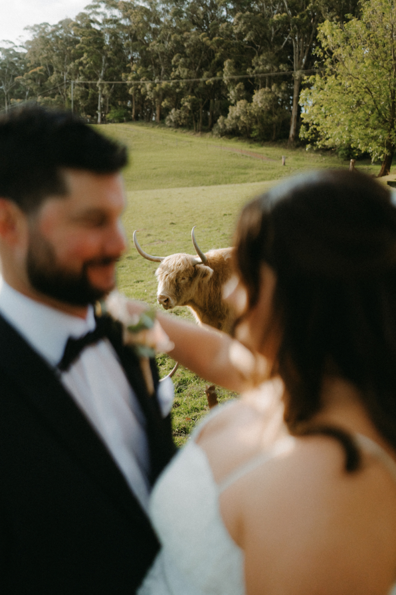 Alison and Matthew Wedding Mali Brae Farm-106