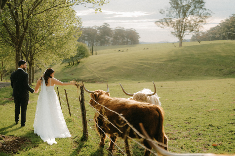 Alison and Matthew Wedding Mali Brae Farm-109