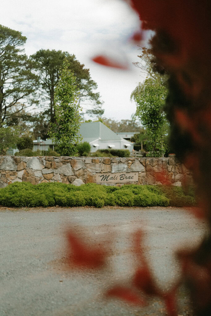 Alison and Matthew Wedding Mali Brae Farm-18