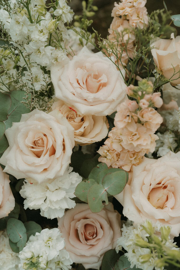 Alison and Matthew Wedding Mali Brae Farm-4