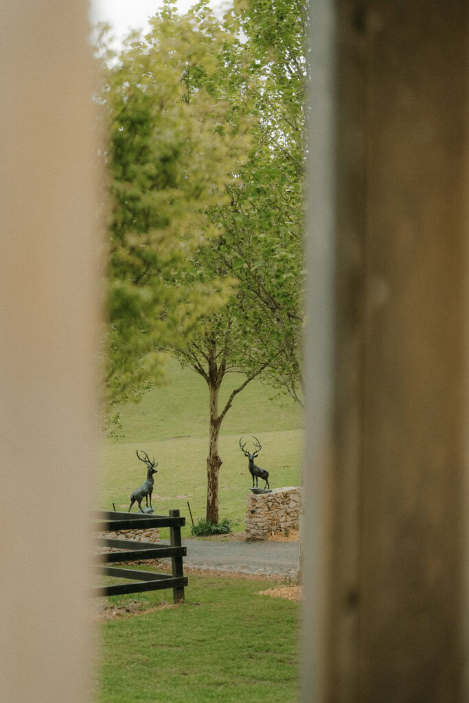 Alison and Matthew Wedding Mali Brae Farm-5