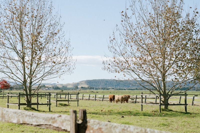 AmandaandEdwardWedding-307