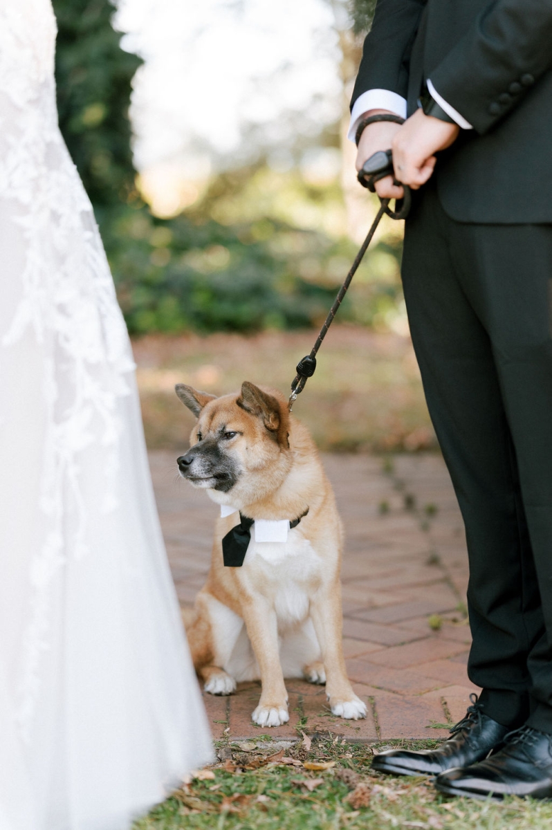 AmandaandEdwardWedding-86