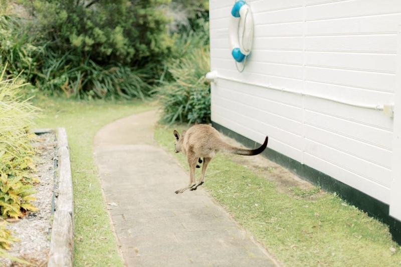 Amy and Josh Wedding-114