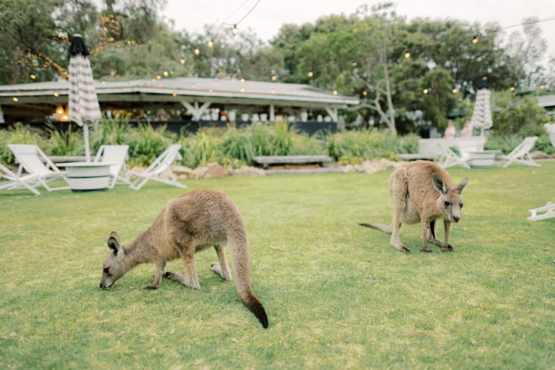 Amy and Josh Wedding-160