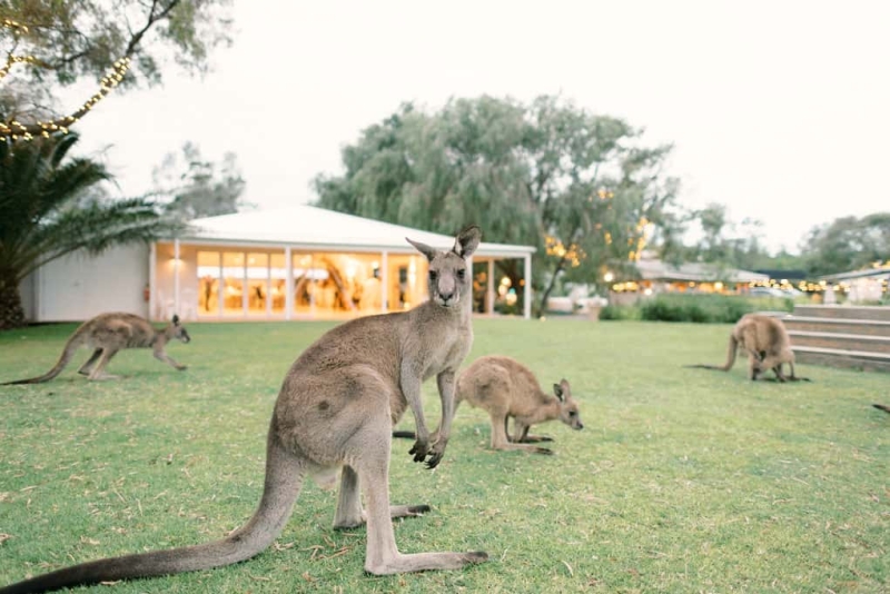 Amy and Josh Wedding-177