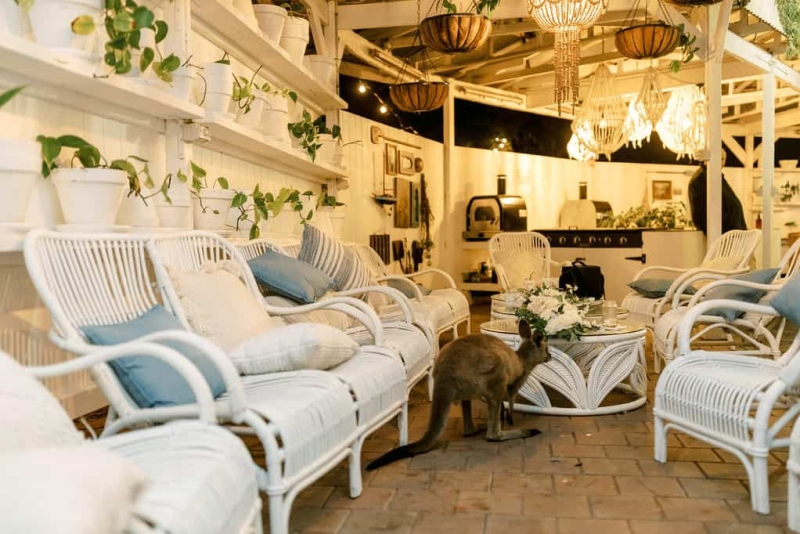 Amy and Josh Wedding-219