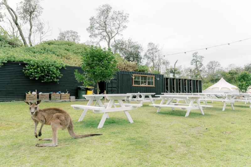 Amy and Josh Wedding-3