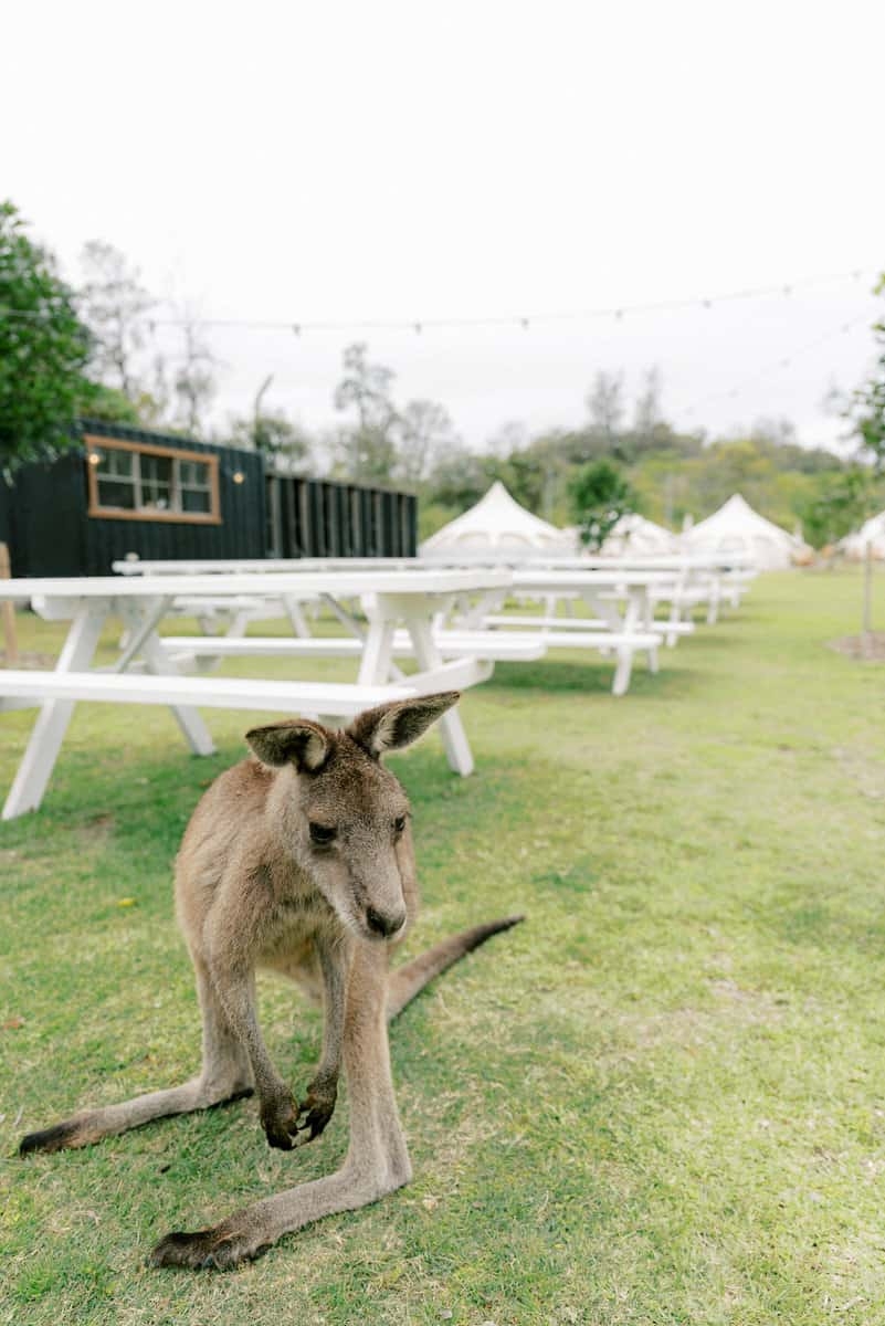 Amy and Josh Wedding-4