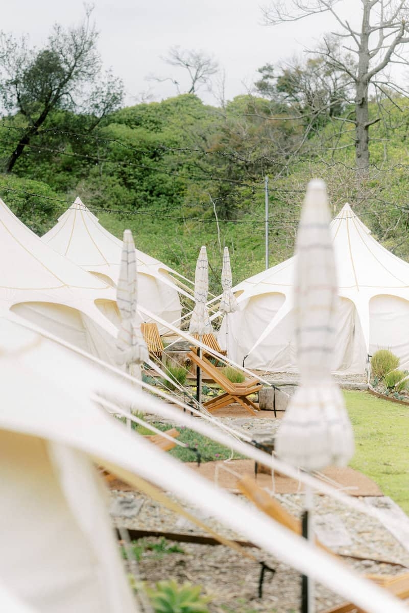 Amy and Josh Wedding-5