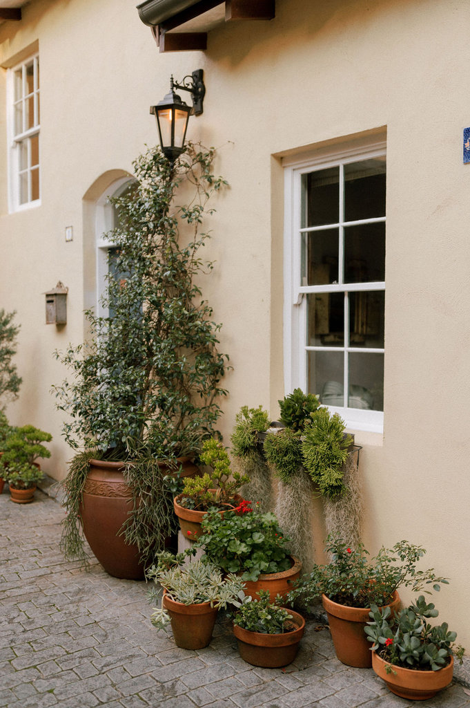 AngieandPaulPortraits-354