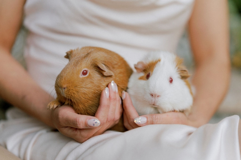 AngieandPaulPortraits-457