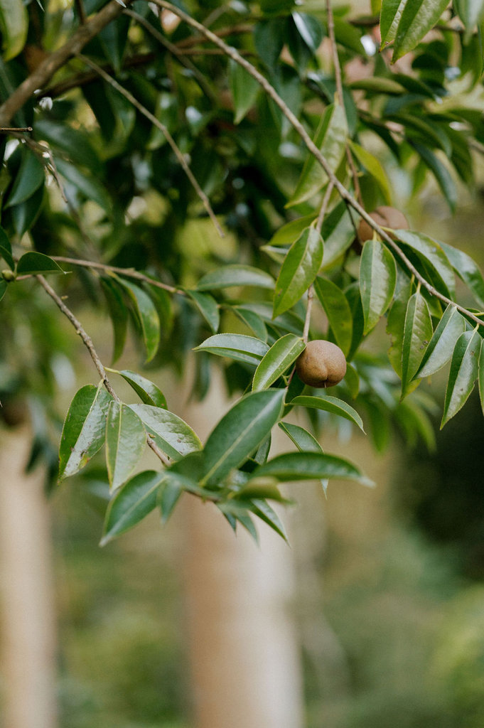 AngieandPaulPortraits-506