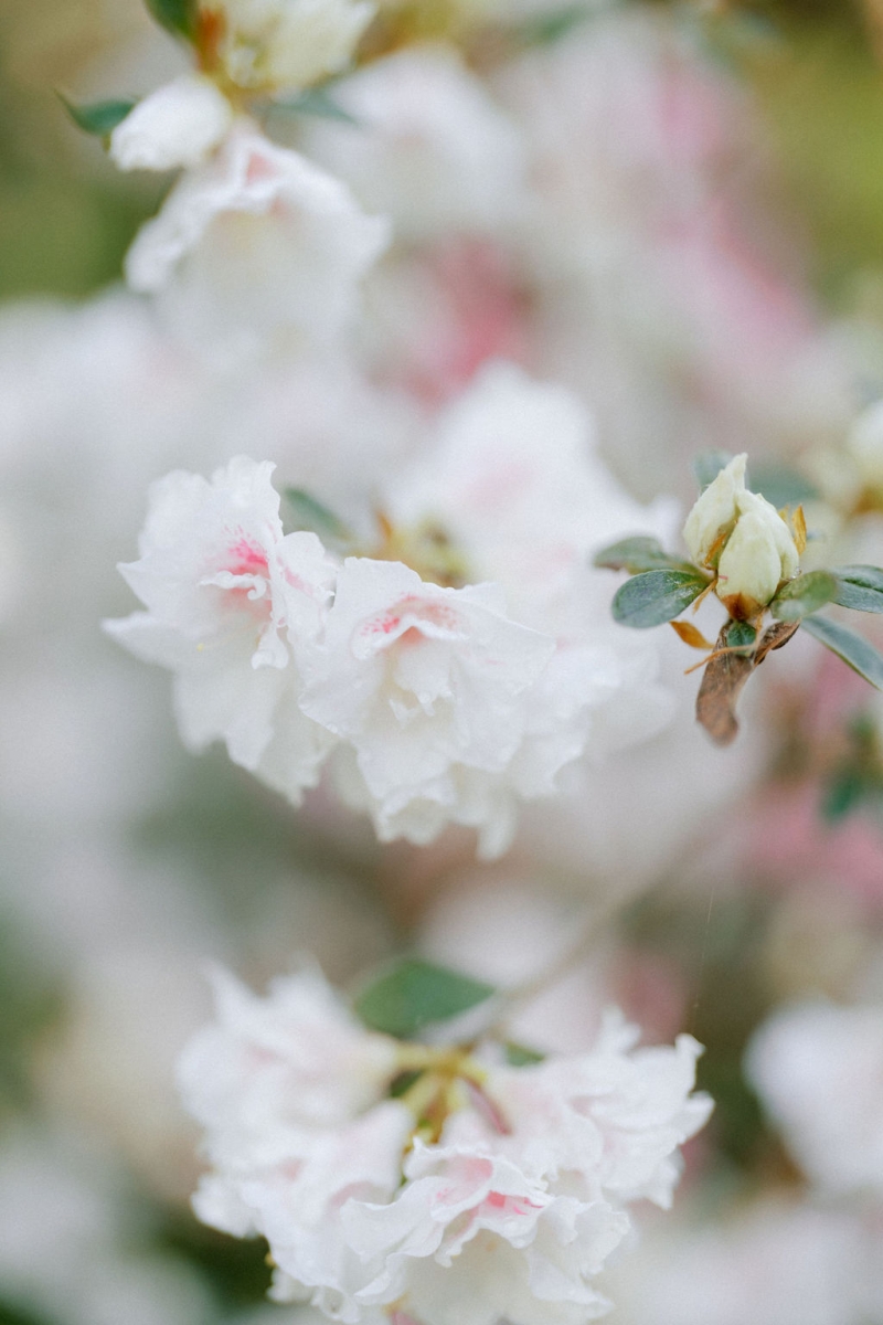 AnkitaandAshtyrElopement-10