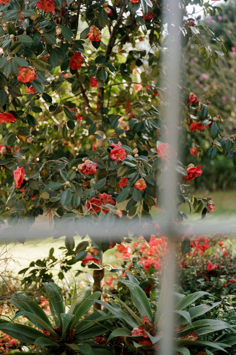 AnkitaandAshtyrElopement-69