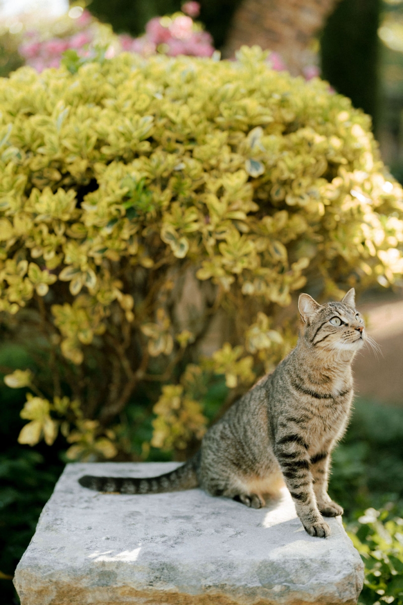 AnkitaandAshtyrElopement-78