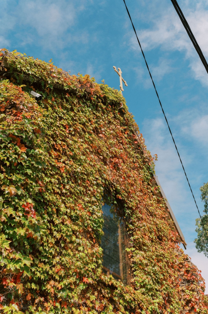 AnnaandMihailoWedding-2