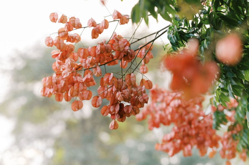 AnnaandMihailoWedding-470