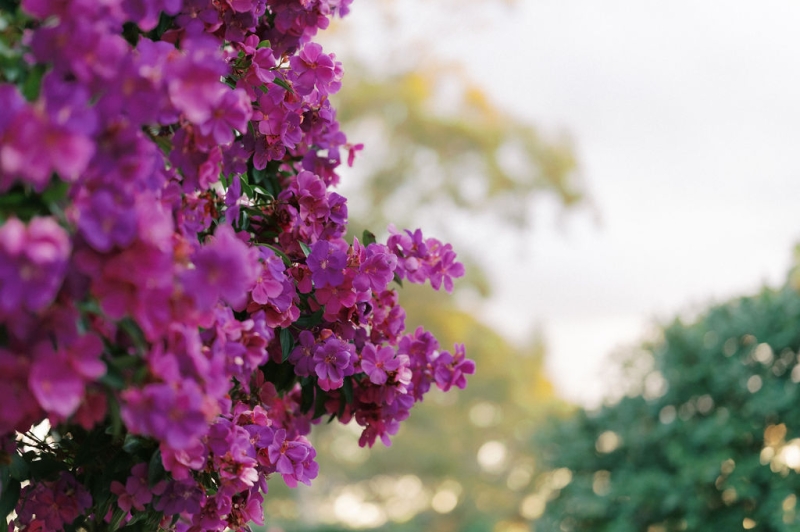 AnnaandMihailoWedding-545