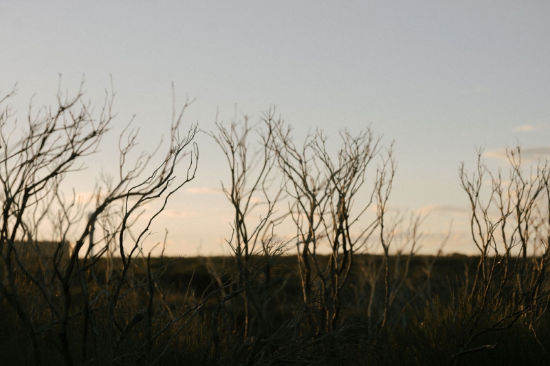 AnnandRaulPortraits00411