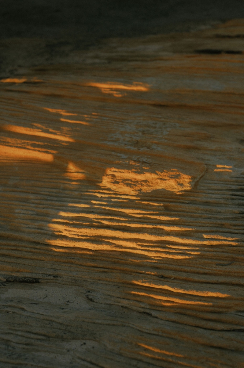 AnnandRaulPortraits00412