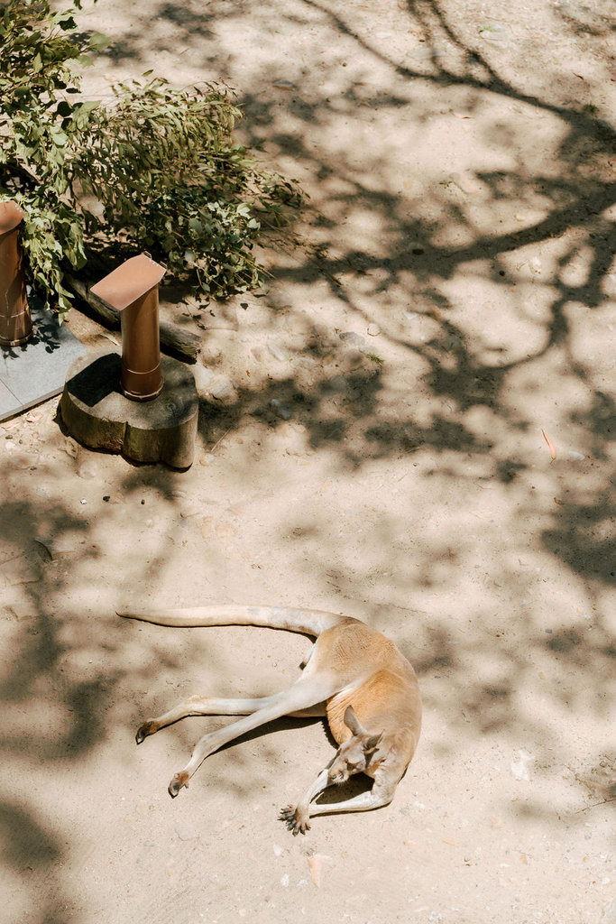 BenandJessWedding-44