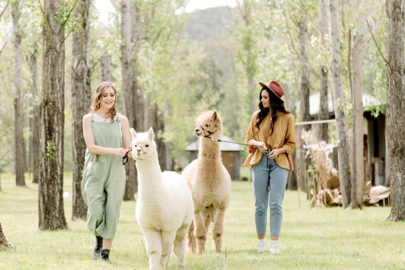 Bernie and Emma pre wedding-10