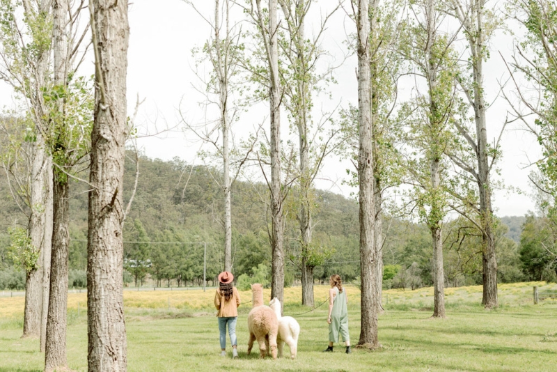 Bernie and Emma pre wedding-12