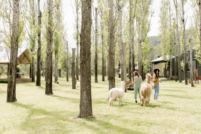 Bernie and Emma pre wedding-13