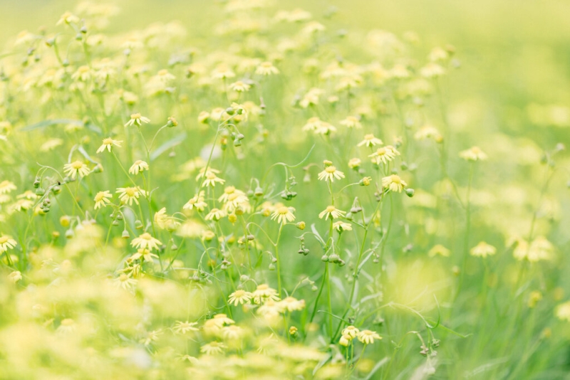 Bernie and Emma pre wedding-17