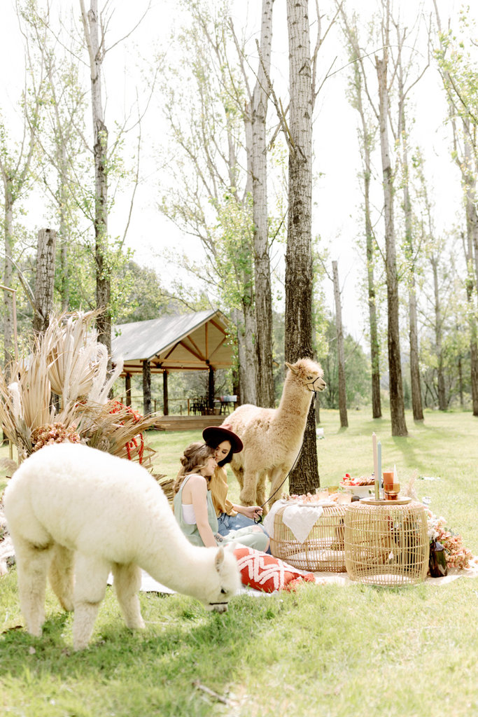 Bernie and Emma pre wedding-41