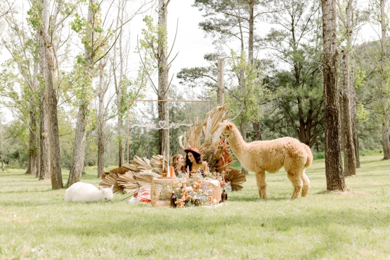 Bernie and Emma pre wedding-6