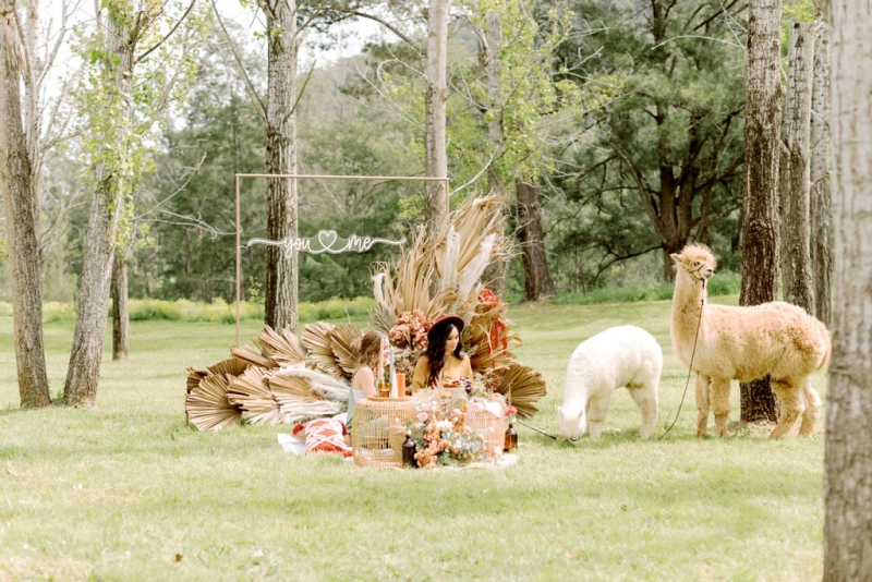 Bernie and Emma pre wedding-8