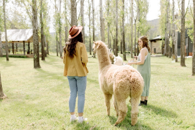 Bernie and Emma pre wedding-9