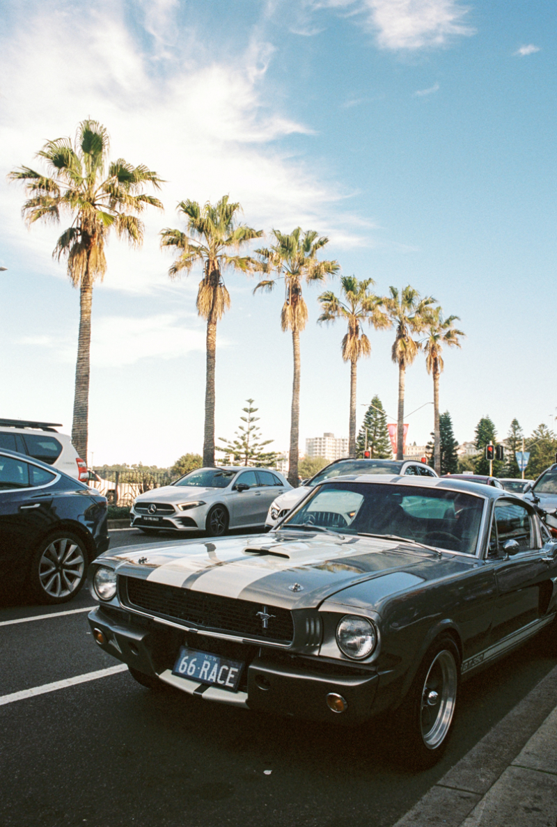 Bondi Film Edited Small-14