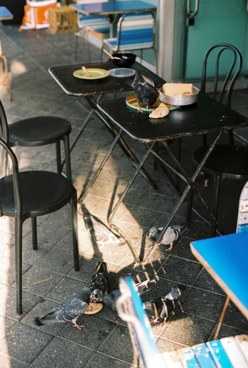 Bondi Film Edited Small-16