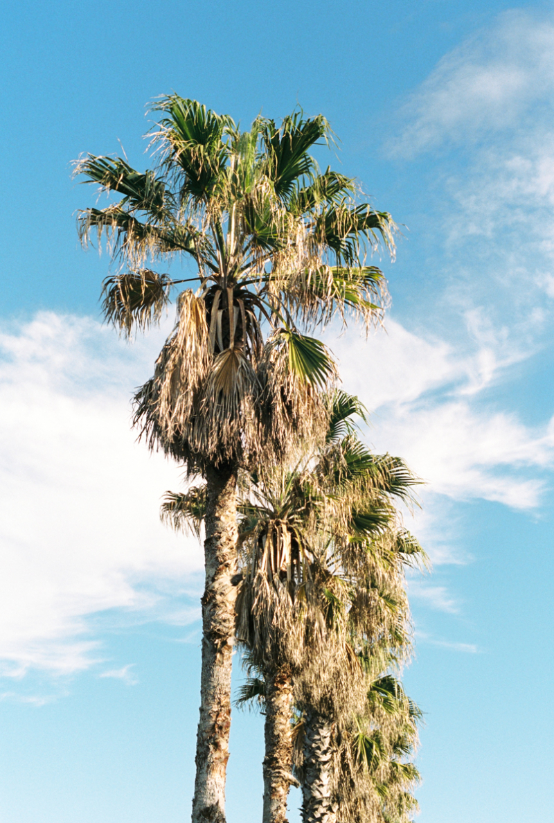 Bondi Film Edited Small-22