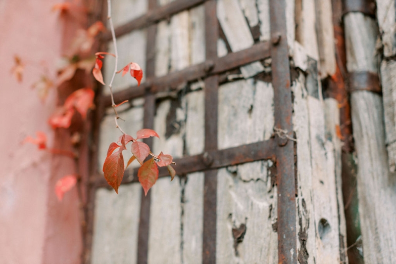 BriJoshElopement-534