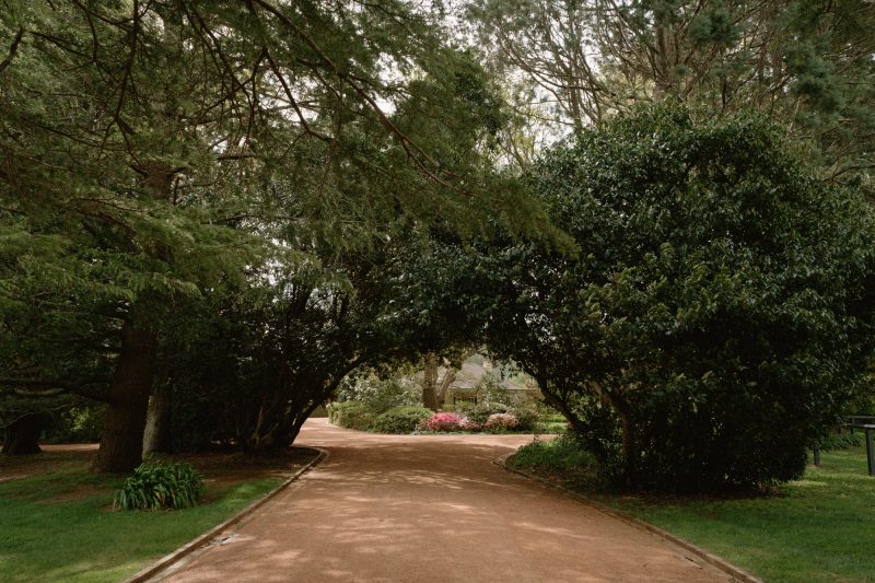 Catarina and Cameron Wedding Bendooley Bookbarn SMALL-11