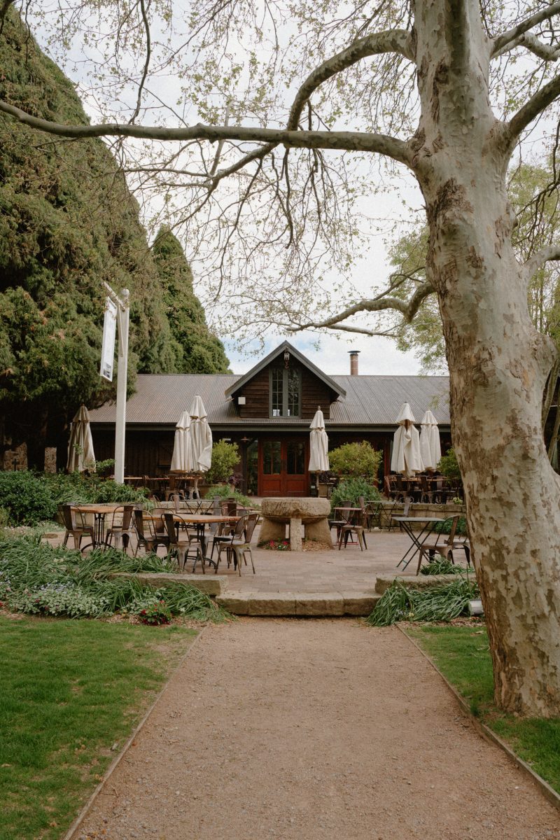 Catarina and Cameron Wedding Bendooley Bookbarn SMALL-14