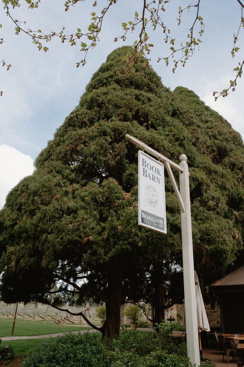Catarina and Cameron Wedding Bendooley Bookbarn SMALL-15