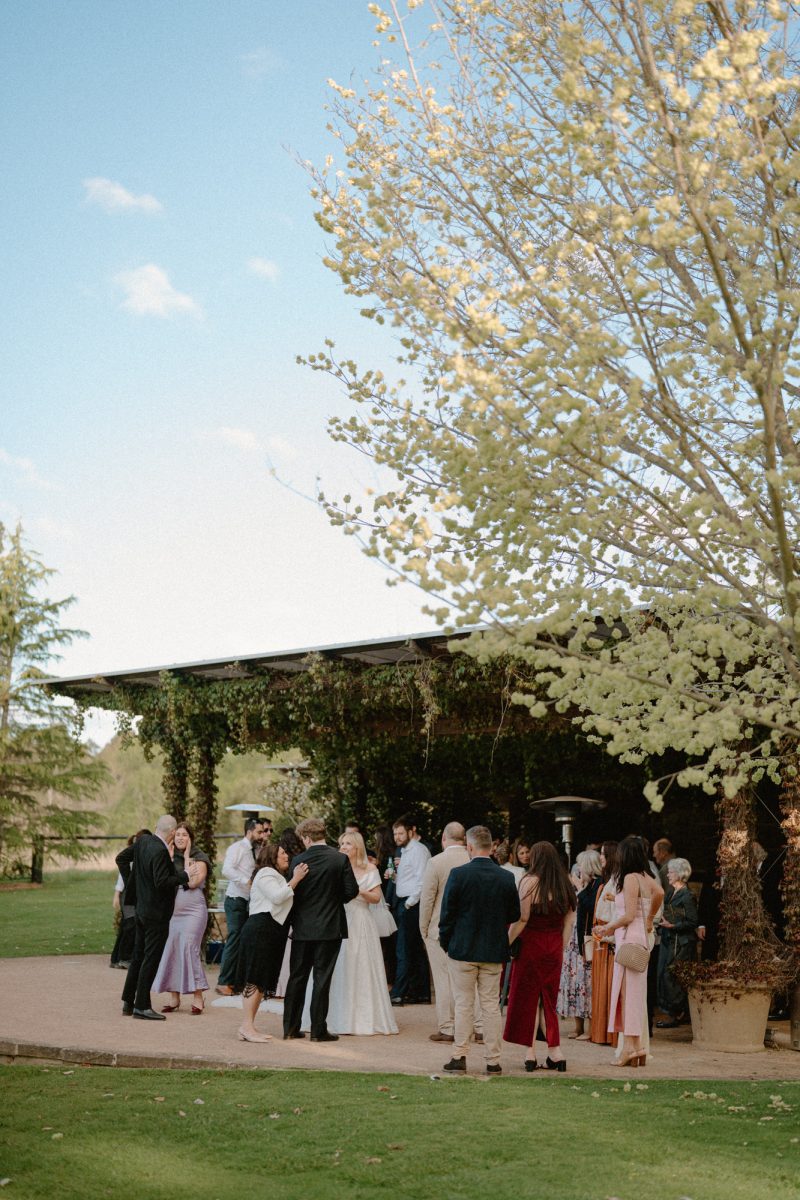 Catarina and Cameron Wedding Bendooley Bookbarn SMALL-154