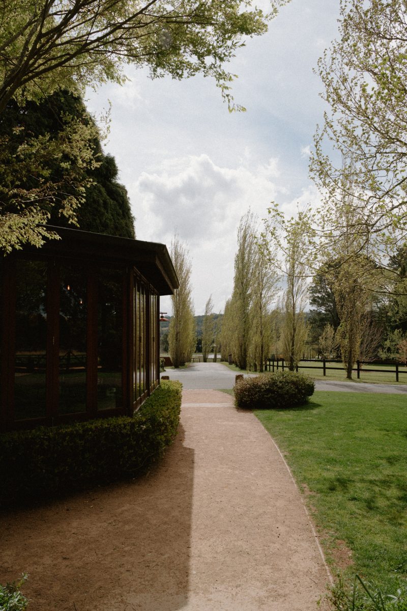 Catarina and Cameron Wedding Bendooley Bookbarn SMALL-16