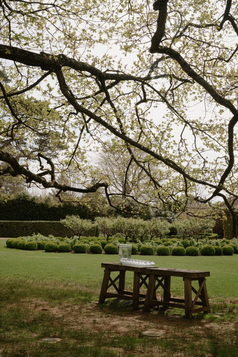 Catarina and Cameron Wedding Bendooley Bookbarn SMALL-18