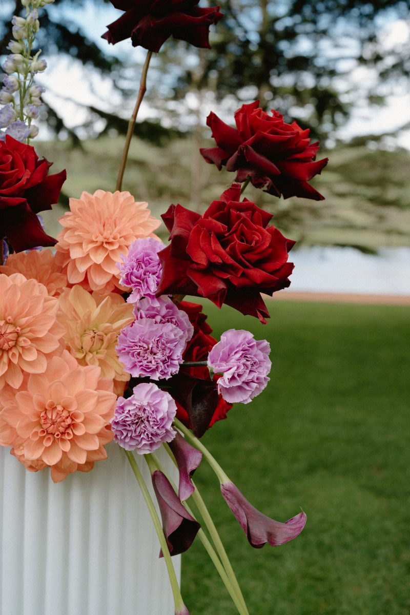 Catarina and Cameron Wedding Bendooley Bookbarn SMALL-23