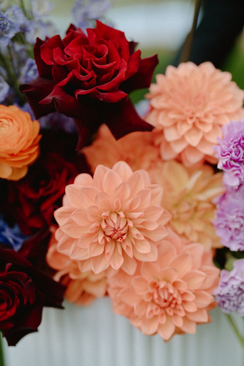 Catarina and Cameron Wedding Bendooley Bookbarn SMALL-24